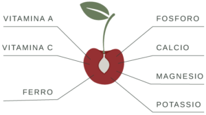 nutrienti ciliegia