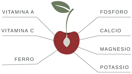 nutrienti ciliegia