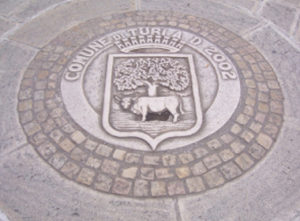 stemma turi