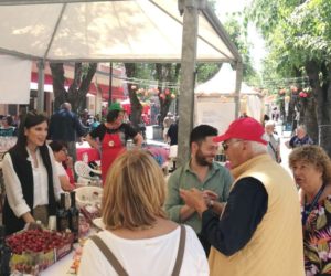 associazione in piazza a vignola ciliegia ferrovia00003